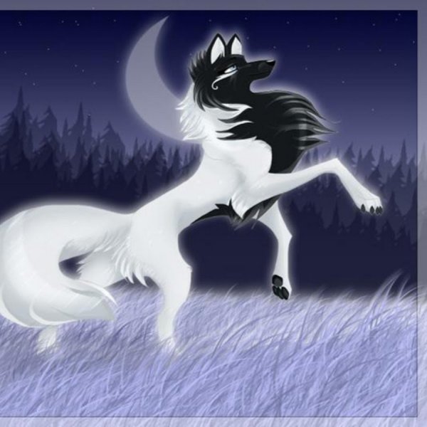 Волки Воители Луна