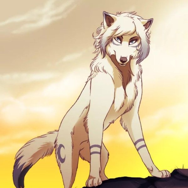 Twilight Spirits волк