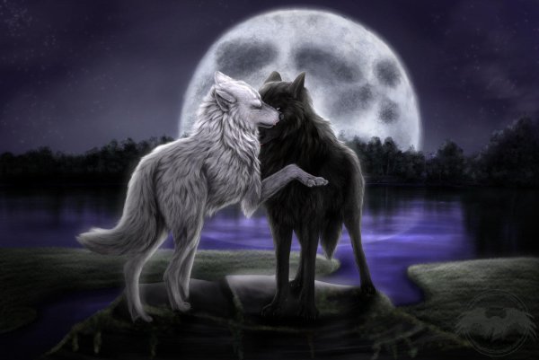 Картинки аниме волчица луна (70 фото) » Картинки и статусы про окружающий  мир вокруг