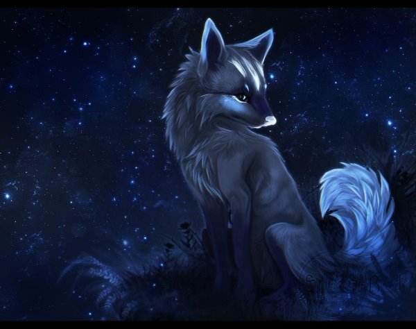 Волчонок арты