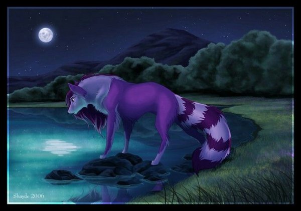 Волки Воители Глиммер