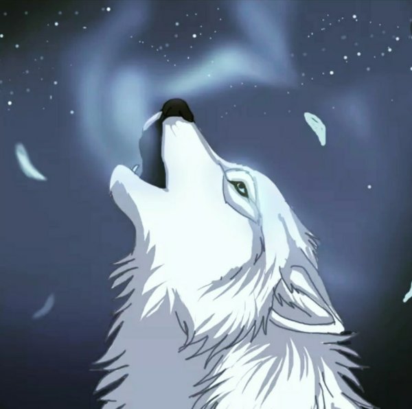 Белая волчица аниме