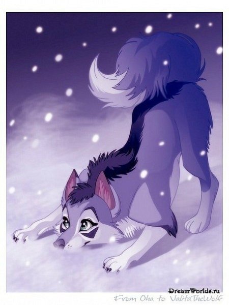 Волки анимешные милые