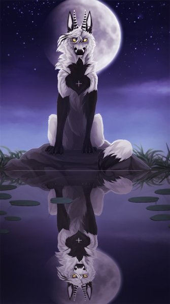 Волчица аниме Мун