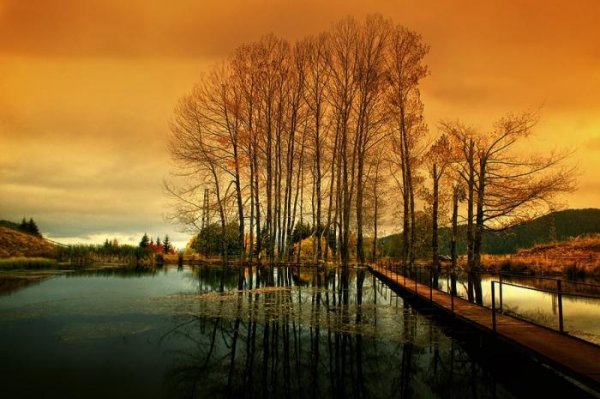 Ф И Тютчев осенний вечер