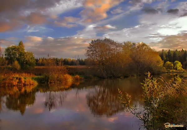 Ф И Тютчев осенний вечер