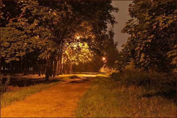 Ранняя осень вечер в парке