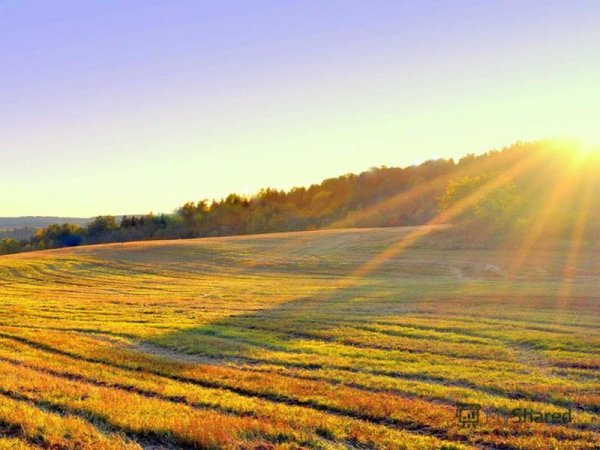 Лазурь на поле
