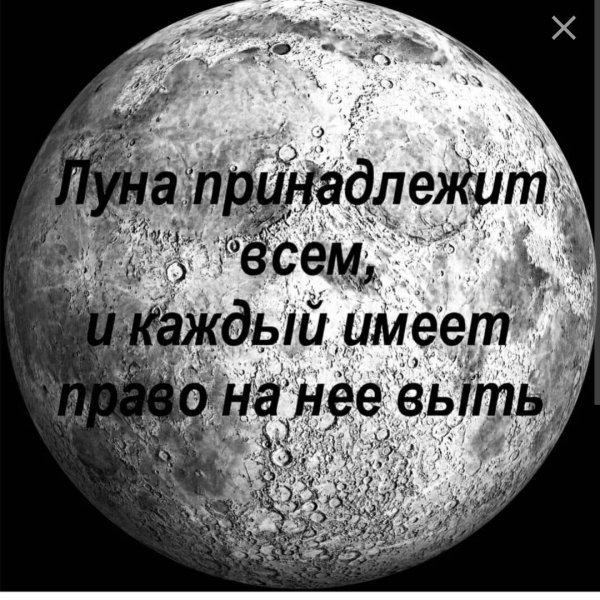 Шутки про луну