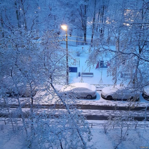 Утро зимой в городе