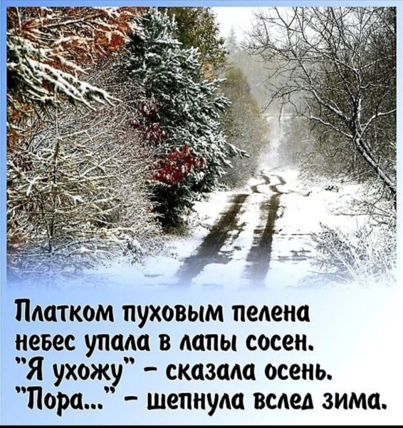 Красивые высказывания о зиме