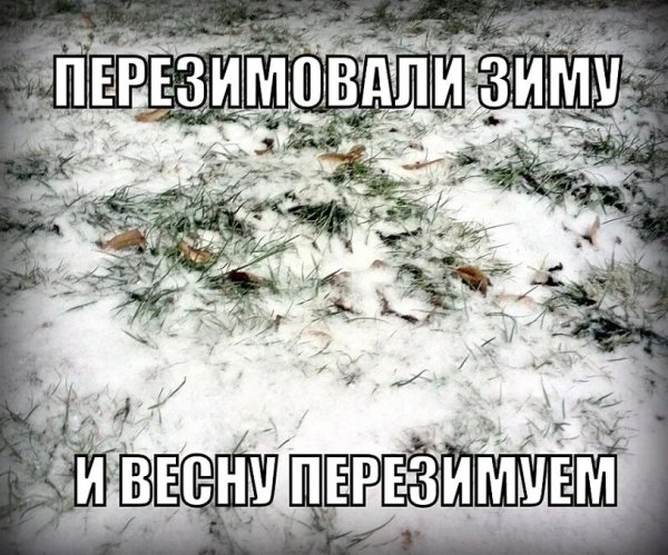 Зима вернулась