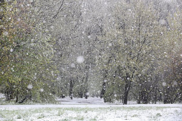 Весна снегопад