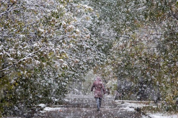 Мокрый снегопад