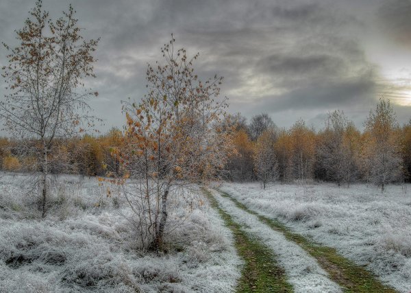 Конец осени