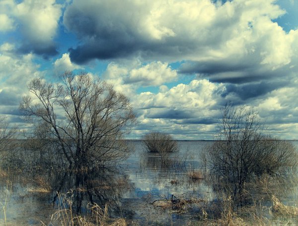 Прохладная Весна