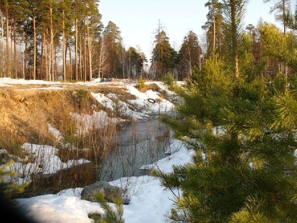 Ручей в зимний Солнечный
