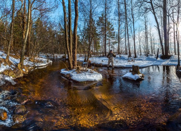 Смолячков ручей Ленинградская область