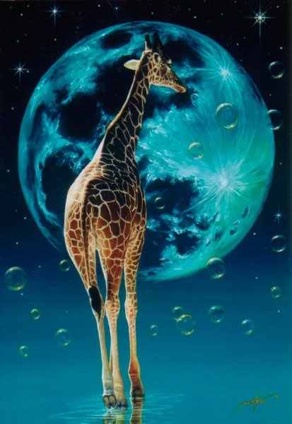 Жираф изящный