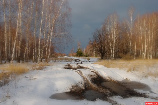 Фотопейзажи Владимира Рябкова