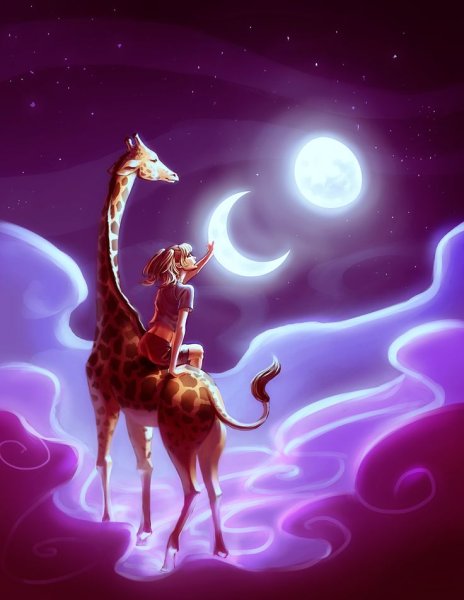 Жираф и Луна