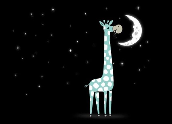 Звезда Жираф