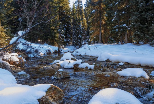 Зимняя Якутия горный ручей