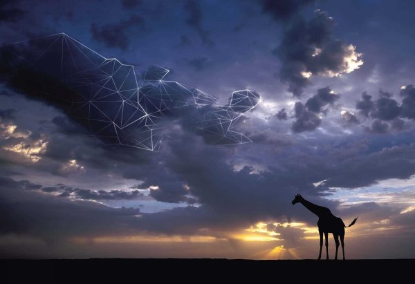 Жираф у озера