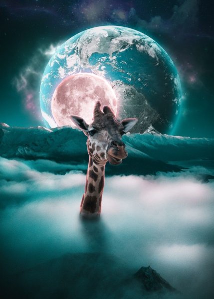 Жираф в облаках