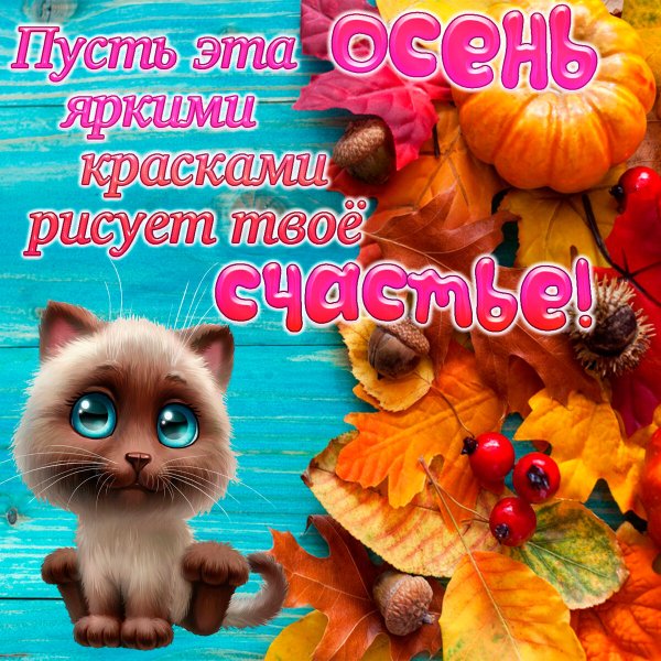 Красивые поздравления с осенью