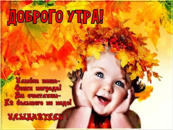 Осеннее утро с улыбкой