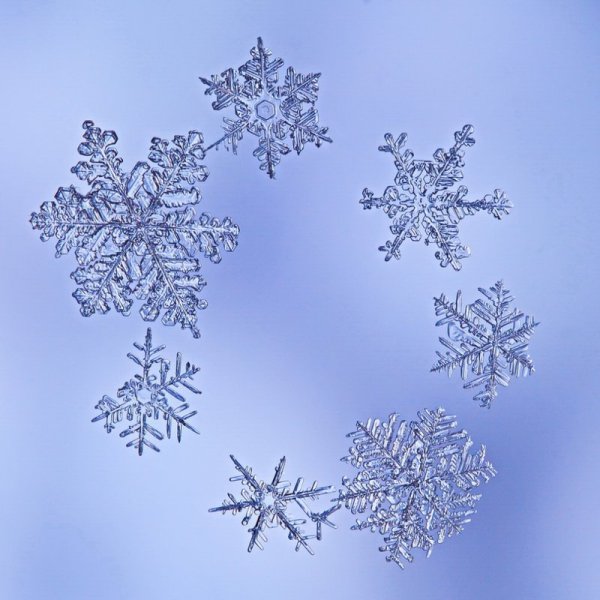 Хоровод снежинок