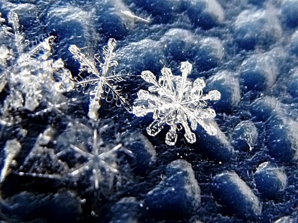 РАДУГА ИДЕЙ ДЛЯ ДЕТЕЙ — Фото | malino-v.ru | Snowflake cutouts, Snowflakes, Bulletin board accessories