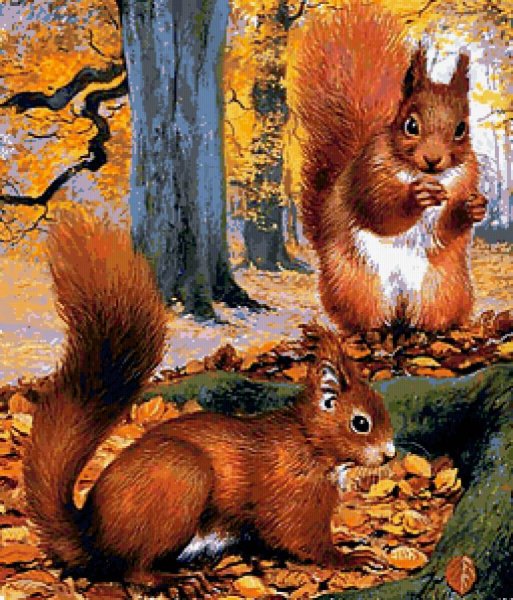 Осенняя иллюстрация с белочкой