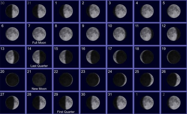 Фаза растущей Луны