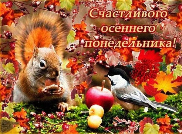 Доброго осеннего понедельника