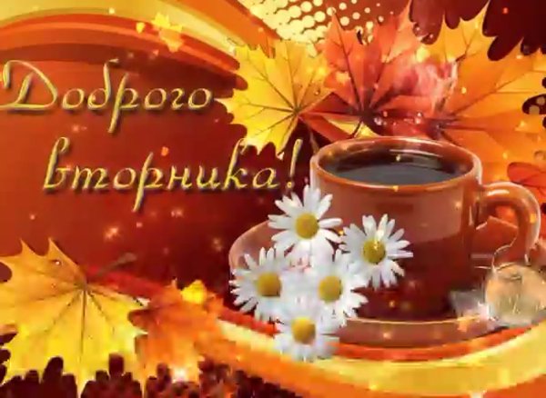 С добрым осенним утром вторника