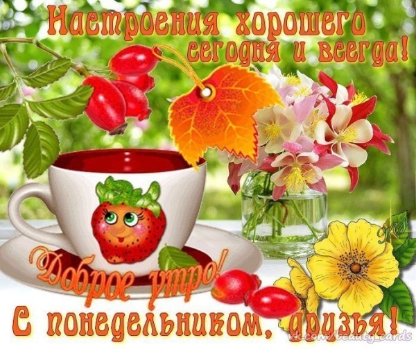 С добрым летним утром понедельника