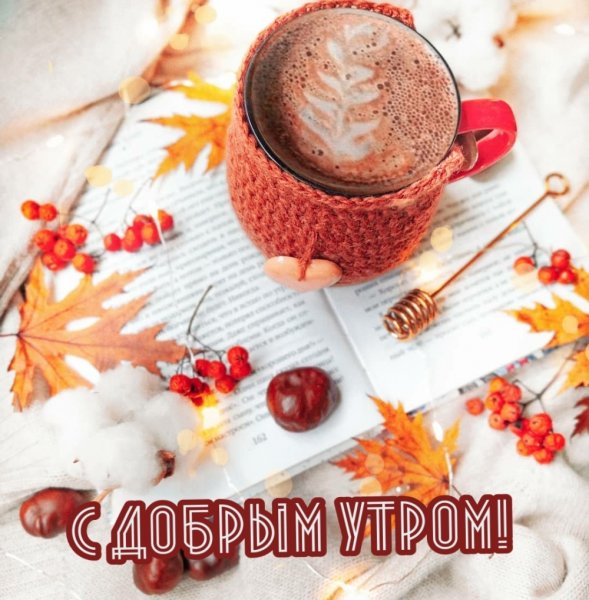 Доброе утро картинки осенние
