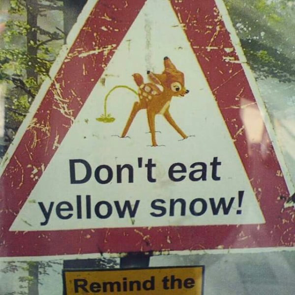 Dont eat Yellow Snow