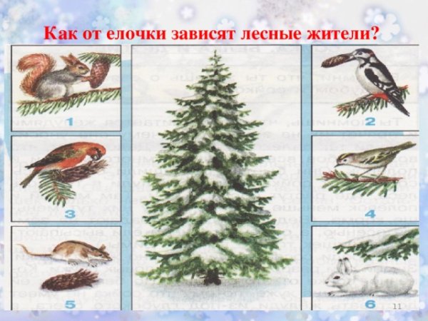 Невидимые нити в осеннем лесу схема
