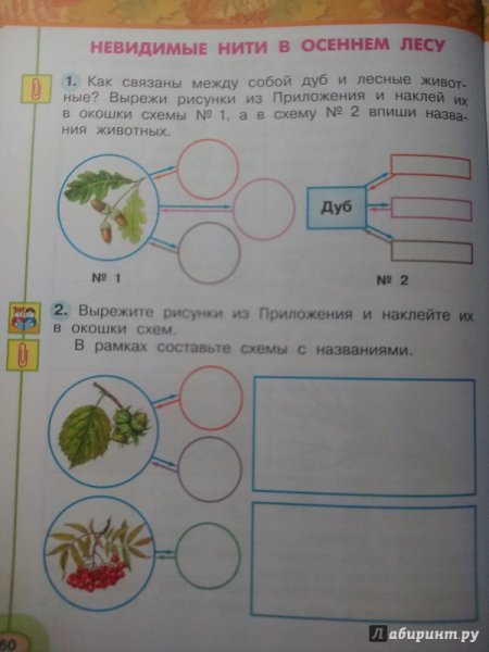 Невидимые нити в осеннем лесу