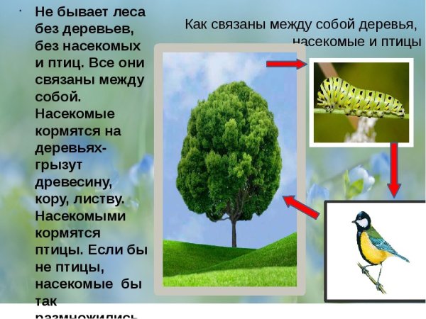 Пример невидимые нити 2 класс окружающий