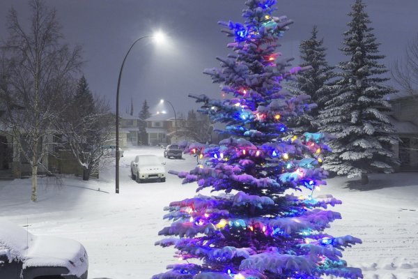 Новогодняя зима