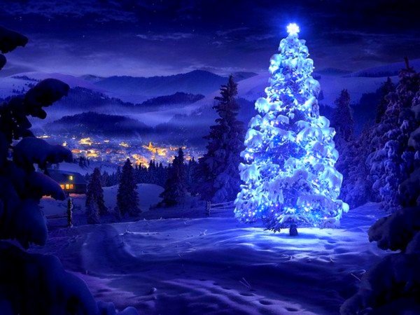 Сказочный зимний лес новый год для детей