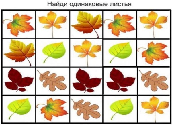 Осенние листья для дошкольников