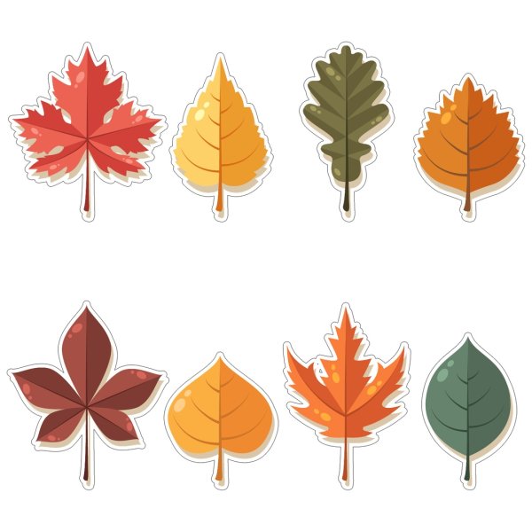 Осенние листья разных деревьев