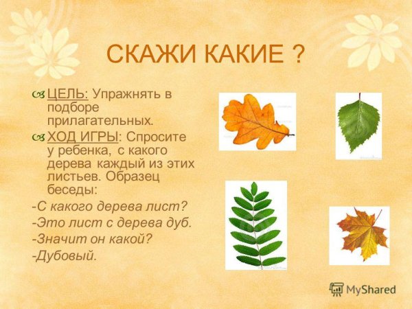 Цель игры с какого дерева листок