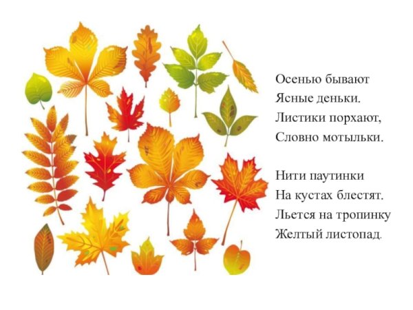 Стихи про листья для детей