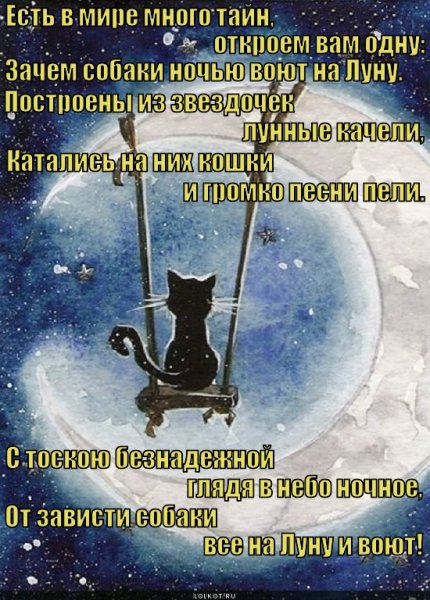 Международная ночь воя на луну